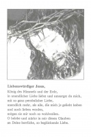 zum Vergrößern klicken